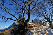 61 Rientriamo alla cima del Vaccareggio